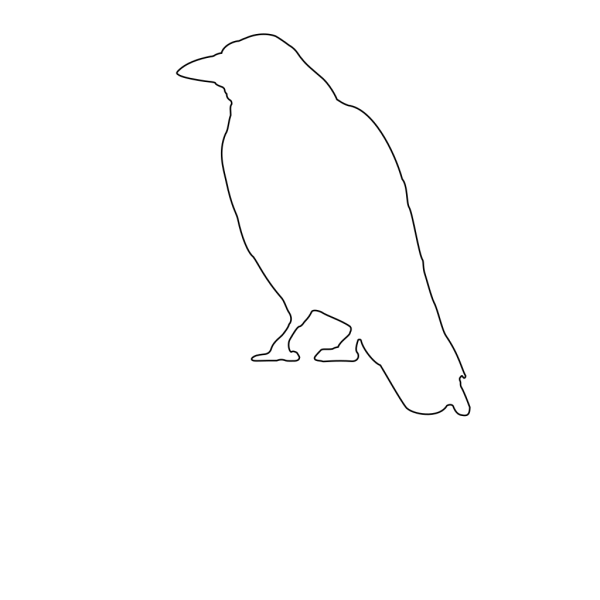 Crow Outline PNG Clip art