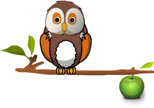 Owl Sitting On A Branch  PNG Clip art