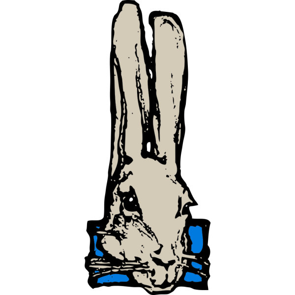 Rabbit Head PNG Clip art