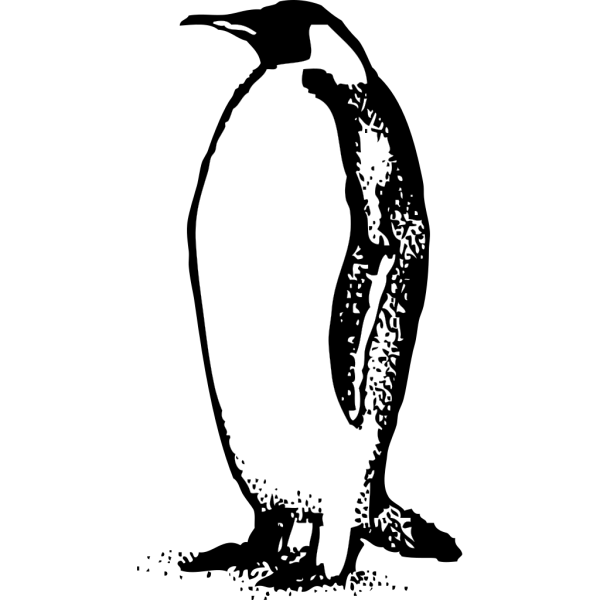 Penguin Standing PNG Clip art