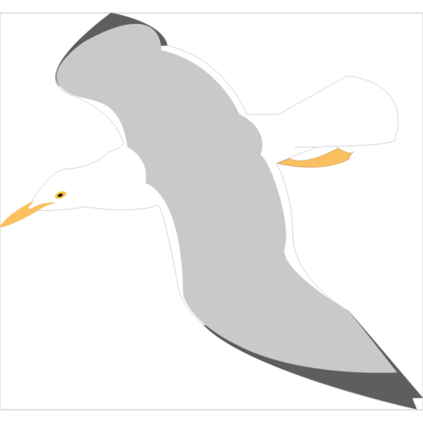 Seagull PNG Clip art