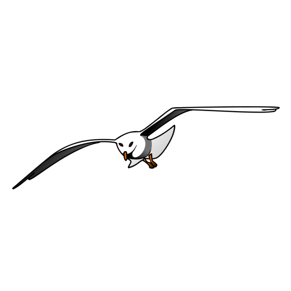 Seagull In Flight PNG images