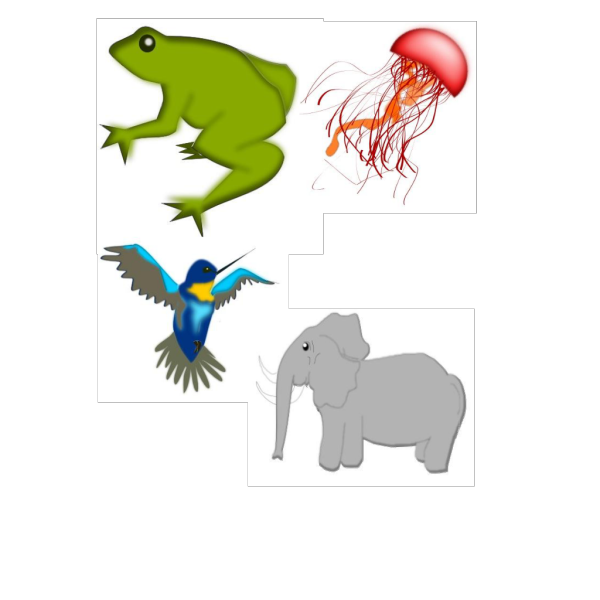 Frog Jelly Fish Bird Elephant PNG images