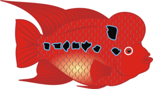 Flowerhorn Fish PNG Clip art