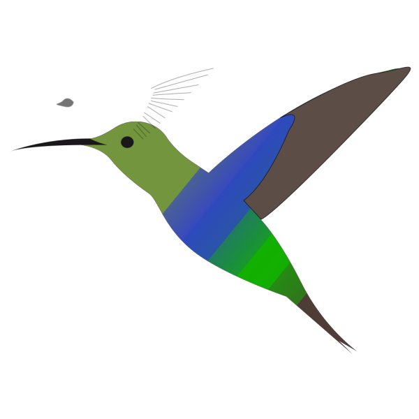 Hummingbird PNG Clip art