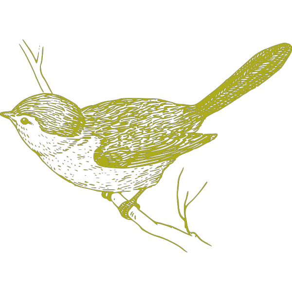 Green Bird On Branch PNG Clip art