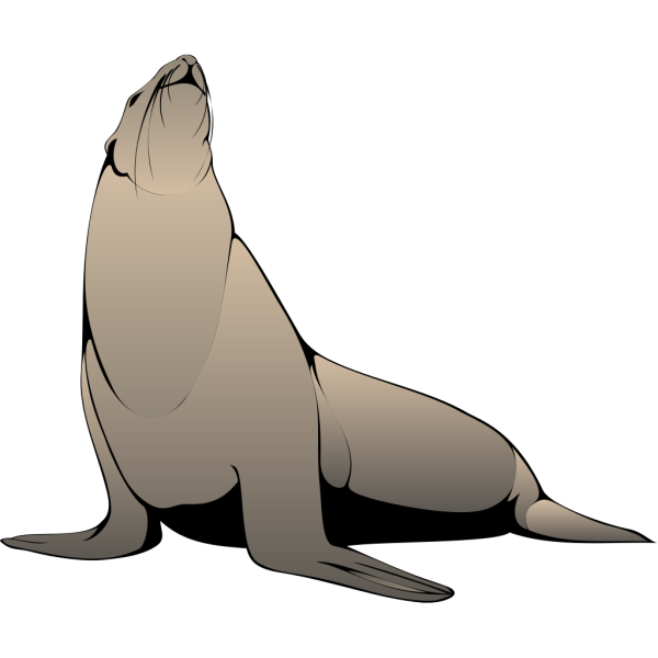 Seal PNG Clip art