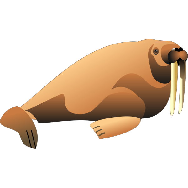 Walrus Animal PNG images