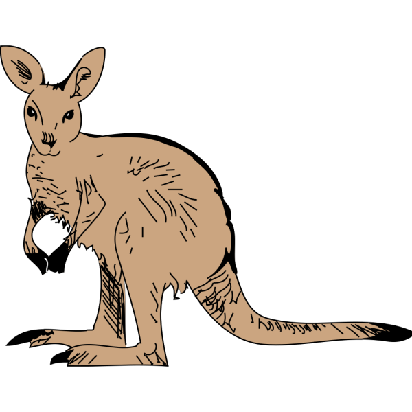 Standing Kangaroo PNG Clip art