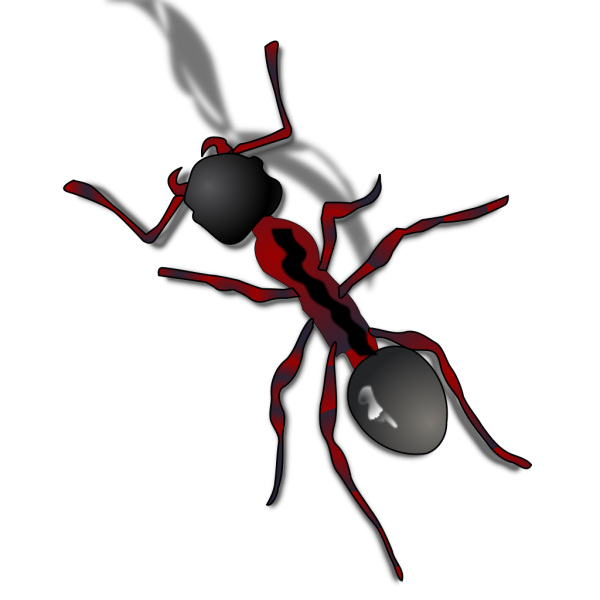 Ant Close Up PNG images
