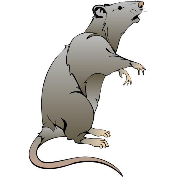 Rat PNG Clip art