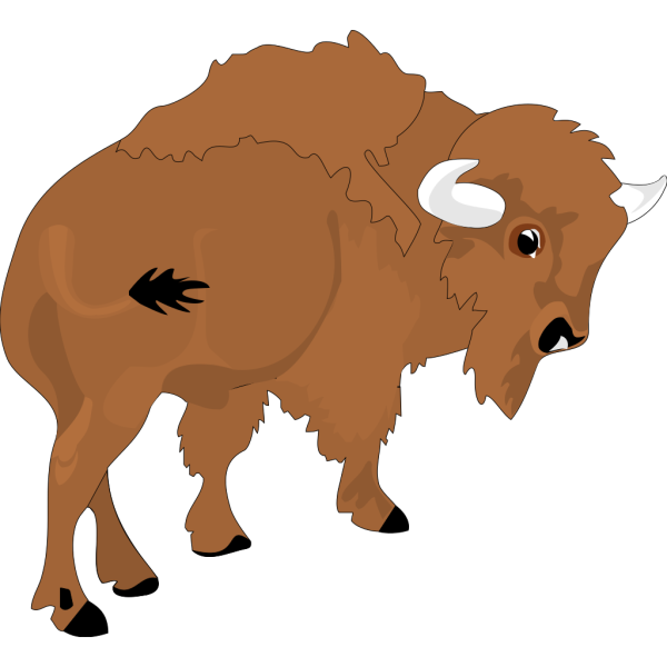 Bison PNG images