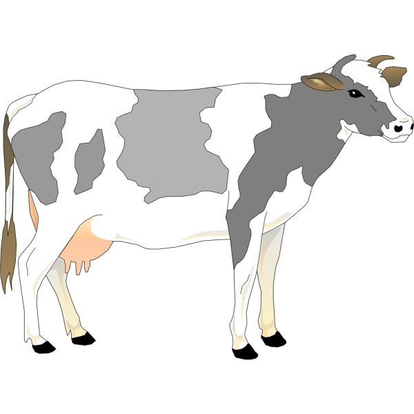 Cow 10 PNG Clip art