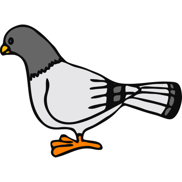 Cartoon Pigeon PNG Clip art
