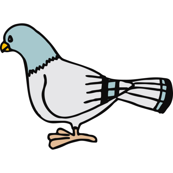 Blue Headed Pigeon PNG Clip art