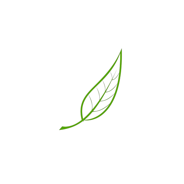 Catterpillar On Leaf PNG Clip art