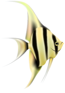 Angelfish PNG Clipart Clip art