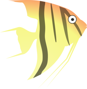 Angelfish PNG HD PNG Clip art