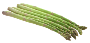 Asparagus PNG Clipart PNG Clip art