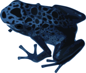 Azureus Frog PNG PNG Clip art