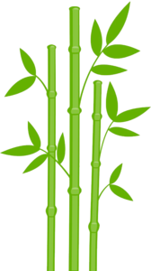 Bamboo PNG Transparent Image PNG Clip art