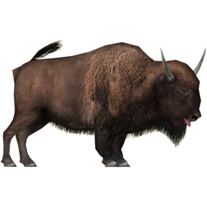 Bison Transparent PNG PNG icons