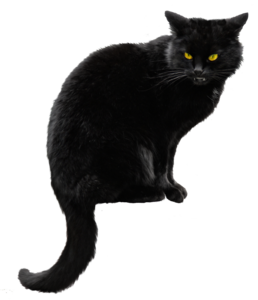 Black Cat PNG File PNG Clip art