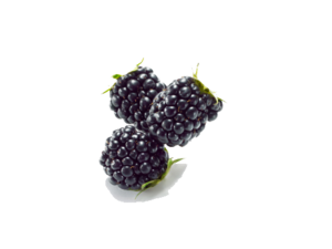 Black Raspberries PNG Image Clip art