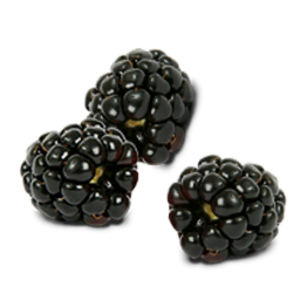 Black Raspberries PNG Pic Clip art