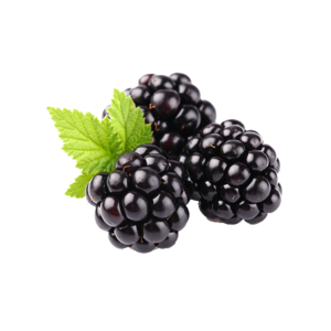 Blackberry Fruit PNG Clipart PNG Clip art