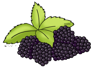 Blackberry Fruit PNG Pic Clip art