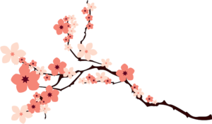 Blossom PNG Image PNG Clip art