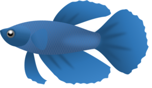 Blue Fish PNG Clipart PNG Clip art