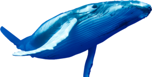 Blue Whale PNG Pic PNG Clip art