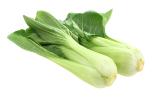 Bok Choy PNG Free Download PNG Clip art
