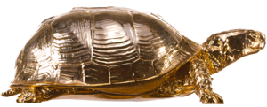 Box Turtle PNG Picture PNG Clip art