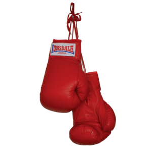 Boxing Gloves PNG Clipart PNG Clip art