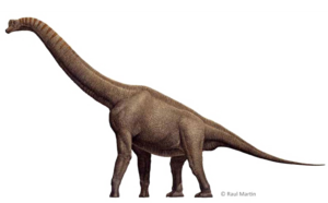 Brachiosaurus PNG Free Download PNG Clip art