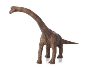Brachiosaurus PNG Photos PNG Clip art