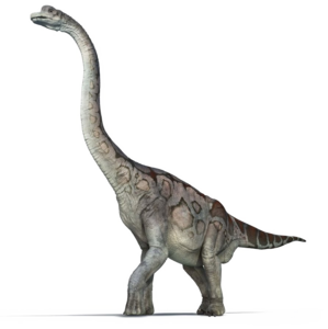 Brachiosaurus PNG Pic Clip art
