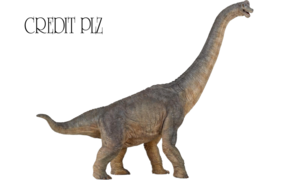 Brachiosaurus PNG Transparent Image Clip art