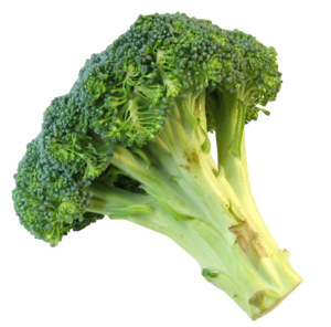 Broccoli PNG Background PNG icons