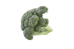 Broccoli PNG File Download Free PNG icons