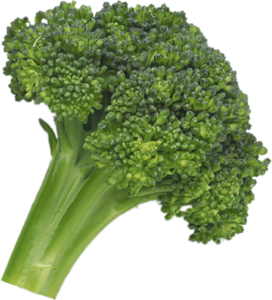 Broccoli PNG Image Free Download Clip art