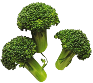 Broccoli PNG Image PNG images