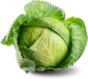 Cabbage Family Vegetable PNG Clip art
