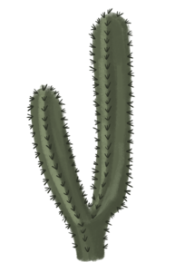 Cactus Clipart PNG PNG Clip art