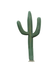 Cactus PNG PNG Clip art