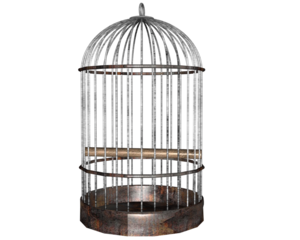 Cage Background PNG PNG Clip art