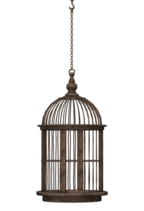 Cage PNG Pic PNG Clip art
